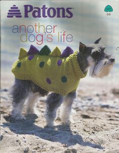 a small dog wearing a yellow sweater on the cover of patons'another dogs life