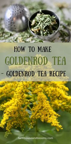 two pictures, one of dried goldenrod in a tea ball, and one of a goldenrod flower Medicinal Recipes, Medicinal Herbs Remedies, Herbal Benefits, Herbal Medicine Recipes, Healing Tea, Blooming Tea, Herbal Salves