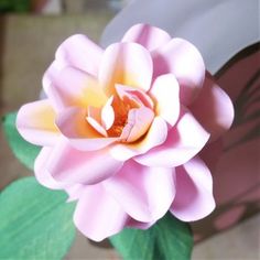 a pink flower sitting on top of a green leafy plant next to a mirror