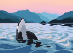 an orca in the water with mountains in the background