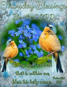 two birds sitting on top of blue flowers with the words, bliss in the lord