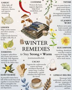 Winter Remedies, Herbal Remedies Recipes, Medicinal Herbs Garden, Medical Herbs, Magic Herbs, Herbal Recipes, Natural Healing Remedies, Herbal Healing