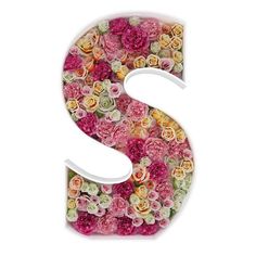 the letter s is made up of many different types of flowers in it's letters