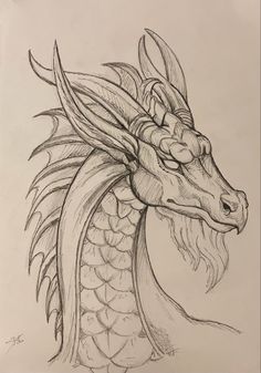 a pencil drawing of a dragon head