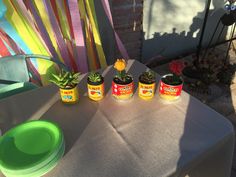 three jars of mustard sitting on top of a table with succulents in them