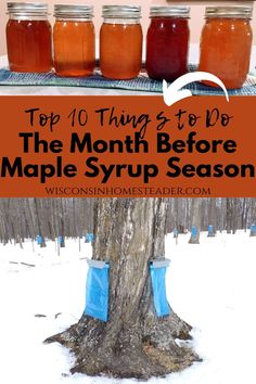 the top ten things to do for the month before maple syrup season in mason jars