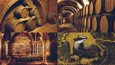 there are many barrels in the cellars and one has a bird sitting on it