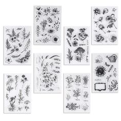 six different types of flowers and plants on white paper