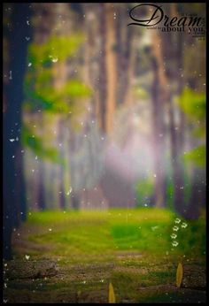 an open field with trees and grass in the background, surrounded by raindrops