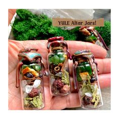 four miniature jars filled with plants and rocks