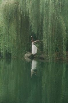 a white bird sitting on top of a rock in the middle of a lake surrounded by trees