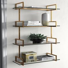 three shelves with plants and books on them against a white wall in a living room