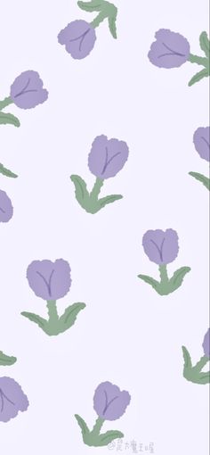 purple flowers on a white background with green leaves