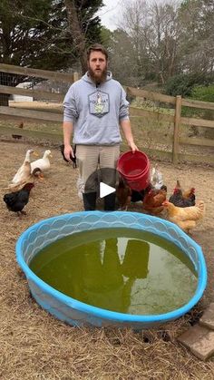 a man standing in front of a pond filled with water surrounded by chickens and ducks