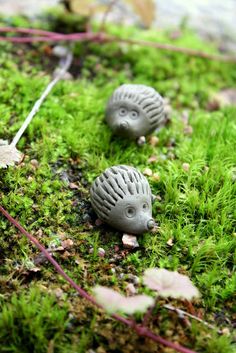 two little hedgehogs are sitting in the moss