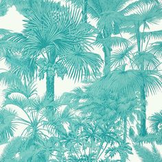 T10101 Palm Botanical Turquoise Wallpaper Paint Styles, Construction Wallpaper, Bathroom 2024, Turquoise Room, Bathroom Mural, Wallpaper Design Pattern, Thibaut Wallpaper, Palm Trees Wallpaper, Turquoise Wallpaper