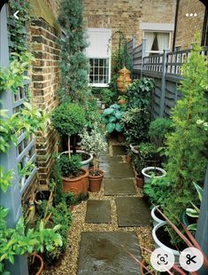 an outdoor garden with potted plants and stepping stone path leading to the front door