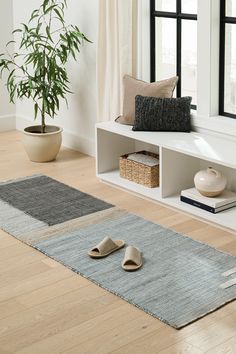 a living room filled with furniture and a potted plant on top of a wooden floor