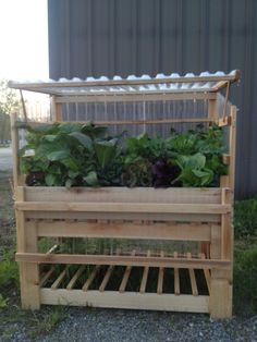 a wooden planter filled with lots of green plants