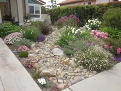 a garden with rocks and flowers in front of a house on the side of the road