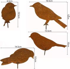 three different types of birds are shown with measurements