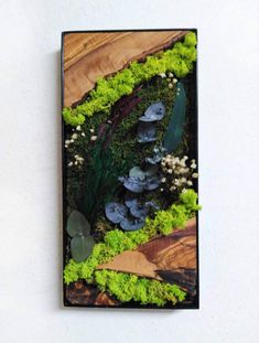 an arrangement of moss and rocks in a wooden frame on a wall with white walls