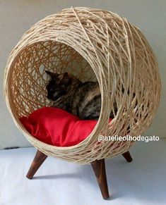 a cat sitting in a wicker ball chair on top of a wooden table next to a white wall