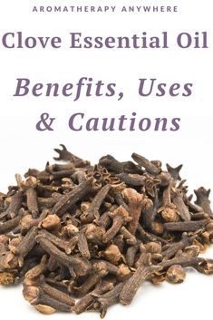 Clove Essential Oil Benefits, Uses & Cautions - Aromatherapy Anywhere Clove Bud Essential Oil Uses, Clove Essential Oil Uses, Clove Essential Oil Benefits, Benefits Of Clove Oil, Clove Oil Uses, Clove Oil Benefits, Cloves Benefits, Essential Oil Beauty, Thieves Essential Oil