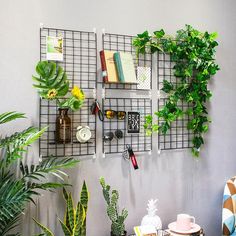 there are plants and books on the wall