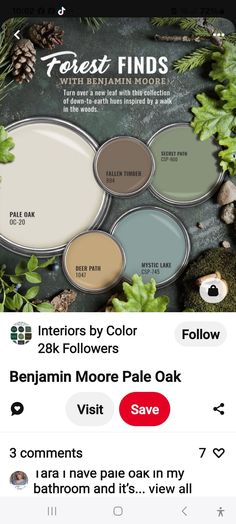 an instagram page for paint colors on the app