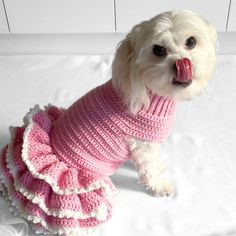 a small white dog wearing a pink sweater with ruffles on it's chest