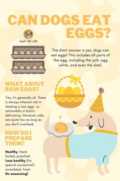 an info sheet describing how to eat eggs and what they are good for the dog