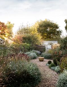 a garden with lots of plants and trees