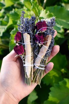 Lavender Bundle, Rose Bundle, Finger Weaving, Orange Apple, Love And Peace, Lambs Ear, White Birch, Birch Bark