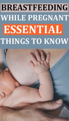 the breastfeeding while pregnant essential things to know