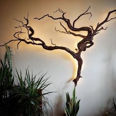 a tree that is on the wall next to some plants