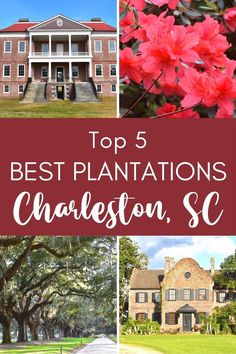 the top 5 best plantations in charleston, sc