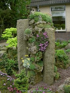 a garden with rocks and flowers around it