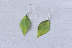 Bring a little bit of nature to your ears with these Hoya Polyneura Plant Earrings! Handcrafted in Cleveland, Ohio, they feature resin-covered paper leaves that look so realistic, you'll swear you can hear them rustling in a gentle breeze. Adorned with hypoallergenic sterling silver hooks, these leaf earrings make the perfect gift for any plant lover in your life. Now get out there and show off your green thumb! Nature-inspired Leaf Earrings For Everyday, Green Nature-inspired Everyday Earrings, Everyday Green Nature-inspired Earrings, Hoya Polyneura, Plant Earrings, Plant Jewelry, Paper Leaves, Stainless Steel Plate, Cleveland Ohio