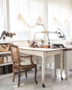 a cat is standing on top of a desk in a room with white walls and flooring