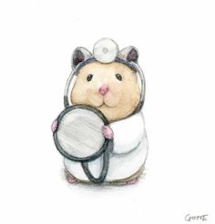 Hamster Names, Human Existence, Little Critter, Dessin Adorable, Cute Animal Drawings