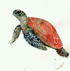 a watercolor painting of a sea turtle