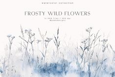 the watercolor collection frosty wild flowers is shown in blue, white and gray