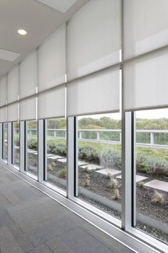 Roller shades Roller Shades Kitchen, Lutron Shades, Automatic Blinds, Motorized Roller Shades, Office Blinds