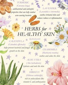 Herbalist Skincare, Herbs For Beauty, Herbs Uses, Skin Herbs, Herbs For Skin, Earth Medicine, Herbal Skincare, Skincare Wellness