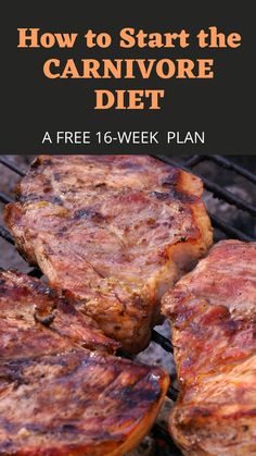 Text: "How to Start the Carnivore Diet - A free 16 week plan" and a image of three pieces of steak being cooked on a grill Persian Recipes, Paneer Tikka, Keto Foods, Diets For Beginners