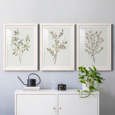 three paintings hanging on the wall above a white cabinet with a potted plant in it