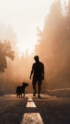 a man walking his dog down the street in the morning sun, with trees and fog behind him