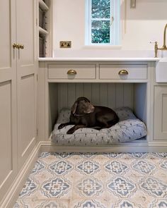 a dog is laying on his bed in the kitchen under the sink and cabinetry