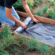 Flagstone Path, Backyard Walkway, Garden Vegetable, Garden Walkway, Garden Pathway, Backyard Projects, Patio Decorating, Lawn And Garden, Outdoor Projects